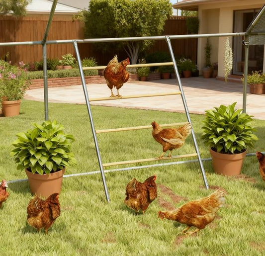 Chicken Roost for Coop, Jungle Gym Roosting Bar, 55' x 33.75'