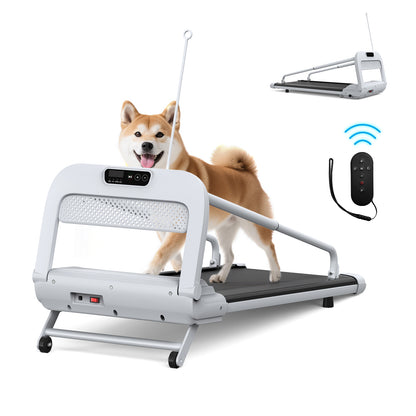 Quiet Smart Pet Treadmill, Adjustable Speed, Perfect for Small/Medium Dogs