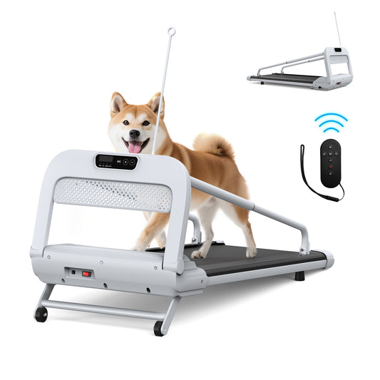 Quiet Smart Pet Treadmill, Adjustable Speed, Perfect for Small/Medium Dogs