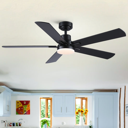52' Black Lowe Profile Ceiling Fan with Light